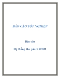 Báo cáo Hệ thống thu phát OFDM