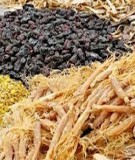 Giáo trình dược liệu (Bài 4)