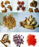 Giáo trình dược liệu (Bài 5)