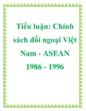 Tiểu luận: Chính sách đối ngoại Việt Nam - ASEAN 1986 - 1996