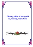 PHƯƠNG PHÁP SỐ TƯƠNG ÐỐI VÀ PHƯƠNG PHÁP CHỈ SỐ