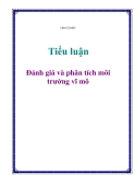 Tiểu luận: Đánh giá và phân tích môi trường vĩ mô