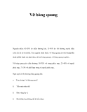 Vỡ bàng quang 