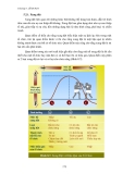 Administration, Knowledge Management - Quản Trị Học phần 10