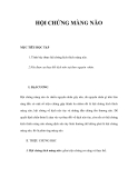 HỘI CHỨNG MÀNG NÃO 