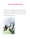 Sống lạc quan để tận hưởng