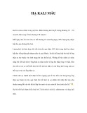 HẠ KALI MÁU 