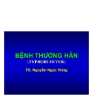 Giải phẫu bệnh thương hàn