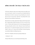HÌNH ẢNH SIÊU ÂM THAI 3 THÁNG ĐẦU 