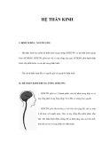 CẤU TẠO HỆ THẦN KINH 