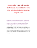 Những Nhiễm Trùng Mắt Bao Gồm Do Vi Khuẩn, Nấm Và Siêu Vi / Virus (Eye Infections, Including Bacterial, Fungal & Viral)