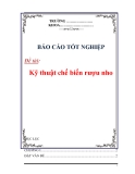 Báo cáo tốt nghiệp: " Kỹ thuật chế biến rượu nho"