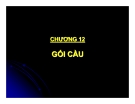 Thiết kế cầu bê tông cốt thép - Chương 12