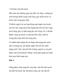 7 bài khử mùi hôi nách 