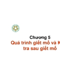 Kiểm nghiệm thú sản - Chương 5: Quá trình  giết mổ và kiểm tra sau giết mổ