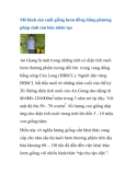 Mô hình sản xuất giống lươn đồng bằng phương pháp sinh sản bán nhân tạo 