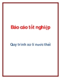 Báo cáo tốt nghiệp: Quy trình xử lí nước thải