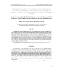 Scientific report: "Biological interactions between spiders catch prey Amblyseius cucumeris (Oudermans) and Orius bugs prey sauteri (Poppius) in each animal prey truongco Thrip thrips palmi (Karny)"