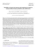 Báo cáo lâm nghiệp: "Variability in Populus leaf anatomy and morphology in relation to canopy position, biomass production, and varietal taxon"
