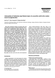 Báo cáo khoa học: "Attenuation of ischemia-reperfusion injury by ascorbic acid in the canine renal transplantation"