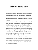 Nho và rượu nho 