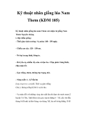 Kinh nghiệm nhân giống lúa Nam Thơm (KDM 105) 