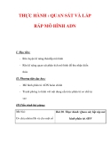 Giáo án Sinh học lớp 9 : Tên bài dạy : THỰC HÀNH : QUAN SÁT VÀ LẮP RÁP MÔ HÌNH ADN 