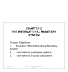 The internetional monetary system