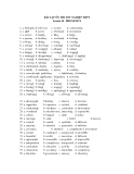 BÀI TẬP ÔN THI TỐT NGHIỆP THPT Lesson 10 . PHONETICS  