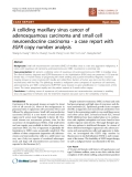 Báo cáo khoa học: "A colliding maxillary sinus cancer of adenosquamous carcinoma and small cell neuroendocrine carcinoma - a case report with EGFR copy number analysis"