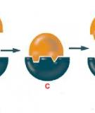 BẢN CHẤT HÓA HỌC CỦA ENZYME 3