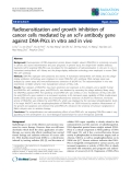 Báo cáo khoa học: "Radiosensitization and growth inhibition of cancer cells mediated by an scFv antibody gene against DNA-PKcs in vitro and in vivo"