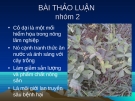 BÀI THẢO LUẬN: TÁC HẠI CỦA CỎ DẠI