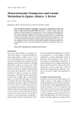 Báo cáo khoa học: " Monocarboxylate Transporters and Lactate Metabolism in Equine Athletes: A Review"