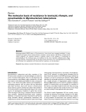 Báo cáo y học: " The molecular basis of resistance to isoniazid, rifampin, and pyrazinamide in Mycobacterium tuberculosis"
