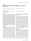 Báo cáo khoa học: "A Reactive oxygen species: toxic molecules or spark of life"