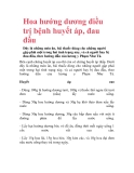 Hoa hướng dương điều trị bệnh huyết áp, đau đầu