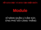 Kỹ năng quản lý cảm xúc ứng phó với căng thẳng