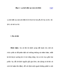 Chủ thể trong luật dân sự 2