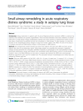 Báo cáo y học: "Small airway remodeling in acute respiratory distress syndrome: a study in autopsy lung tissue"