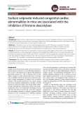 Sodium valproate-induced congenital cardiac abnormalities in mice are associated with the inhibition of histone deacetylase
