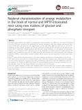 Báo cáo y học: "Regional characterization of energy metabolism in the brain of normal and MPTP-intoxicated mice using new markers of glucose and phosphate transport"