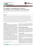 Báo cáo y học: "An update on targeted gene repair in mammalian cells: methods and mechanisms"