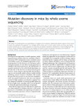 Báo cáo y học: "Mutation discovery in mice by whole exome sequencing"
