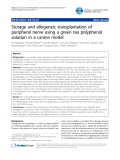 Báo cáo y học: "Storage and allogeneic transplantation of peripheral nerve using a green tea polyphenol solution in a canine model'