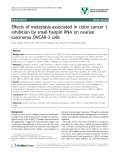 báo cáo khoa học: " Effects of metastasis-associated in colon cancer 1 inhibition by small hairpin RNA on ovarian carcinoma OVCAR-3 cells"