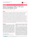 Báo cáo y học: "Histone deacetylases (HDACs) in XPC gene silencing and bladder cancer"
