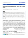 báo cáo khoa học: " Inflammatory pseudotumor of the kidney: a case report"