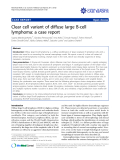 Báo cáo y học: "Clear cell variant of diffuse large B-cell lymphoma: a case report."