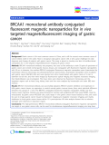 báo cáo khoa học: "BRCAA1 monoclonal antibody conjugated fluorescent magnetic nanoparticles for in vivo targeted magnetofluorescent imaging of gastric cancer"